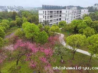 校园风景桃李园2